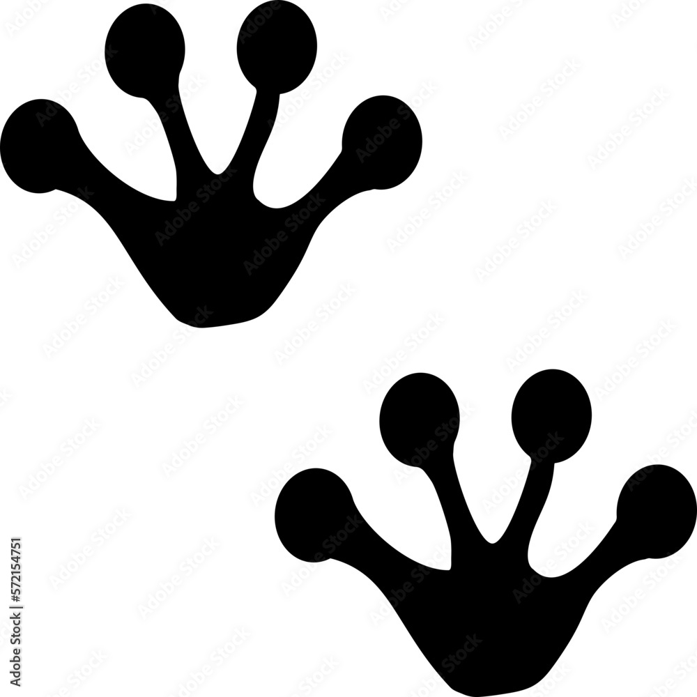 Animal Foot Tracks Animal Foot Tracks