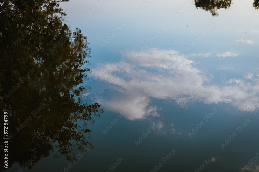 Fototapeta premium clouds reflected in water