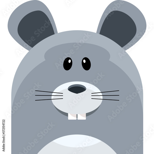Animal Illustration