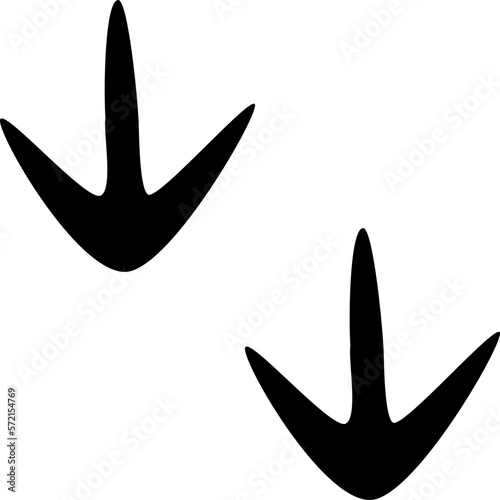 Animal Foot Tracks