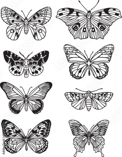 Doodle Butterfly Planner sticker icons. Vector set. Fly and animals set. © YingYing