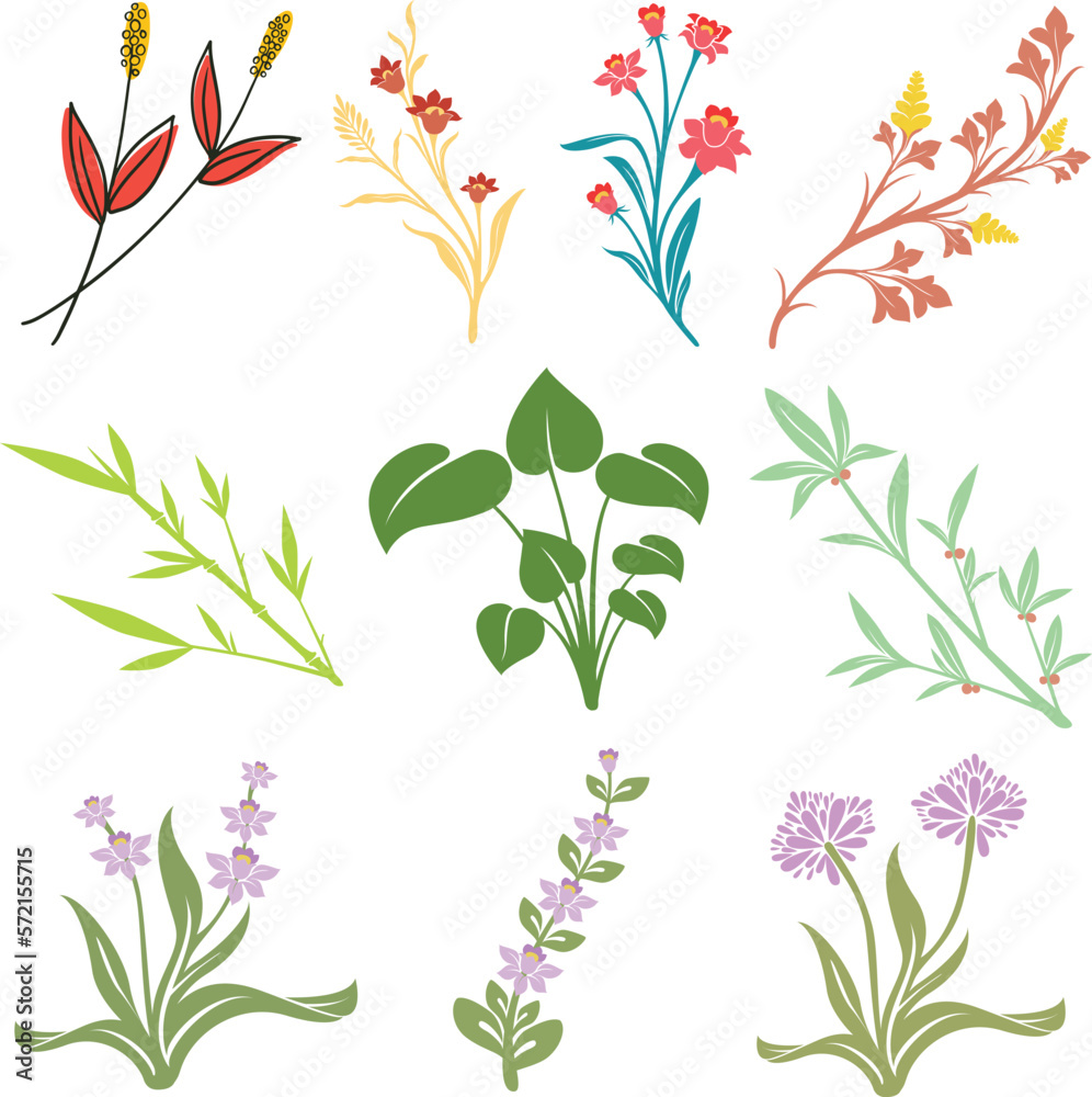 set of flowers set of flowers