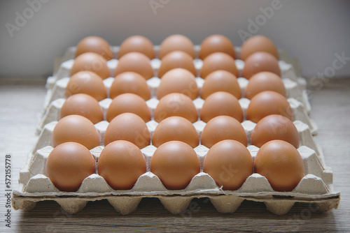 Eggs in cardboard egg trays