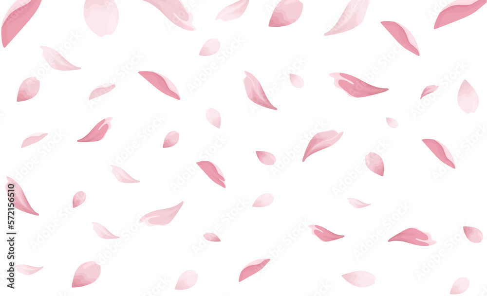 Falling pink sakura petals realistic illustration on transparent