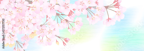 桜の枝と霞がかかったような幻想的な背景