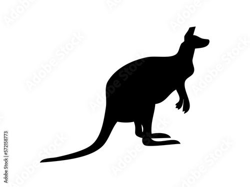 kangaroo