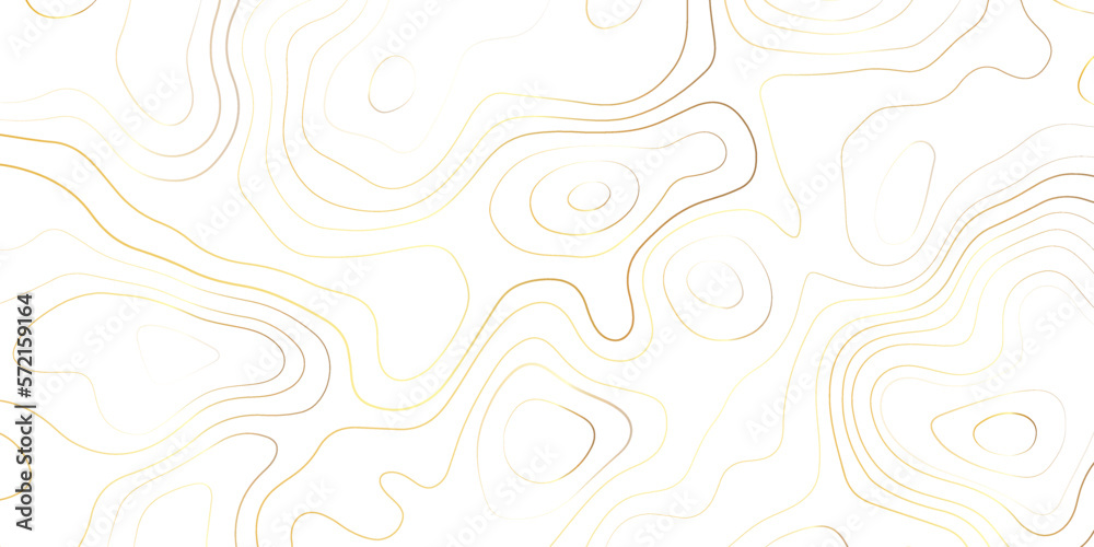 The stylized height of the luxury golden topographic contour in lines and contours. 