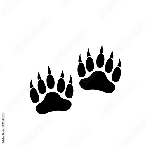 Animal Foot Tracks