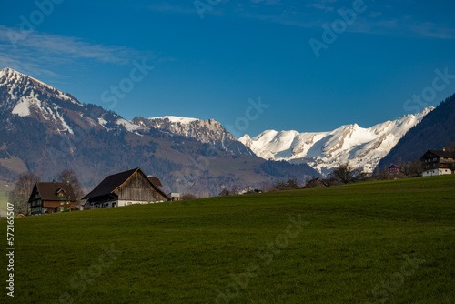 Alpine meadows with Swiss Alps and glacier in the background 