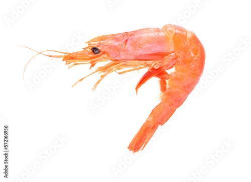 Boiled shrimps on white background