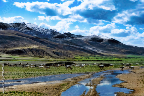 landscape with lake and mountains in Ladakh  India