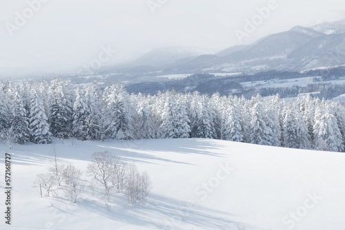 Winter landscape snow covered trees and mountains