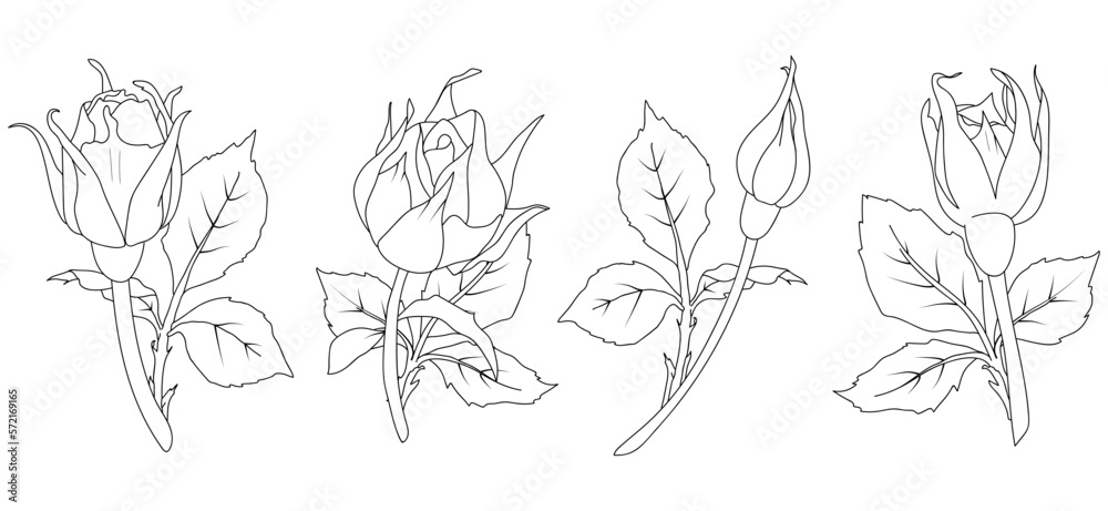 Set of vector illustrations of rose buds with stem and leaves in line art style. Hand drawn flower. For the design of stickers, wedding invitations, stationery, greeting cards, clothing prints