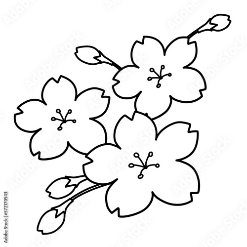 桜の手書きイラスト