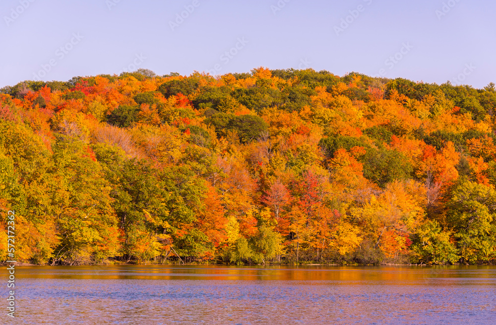Landscape of a Canadian forest at the lake during a beautiful Indian summer