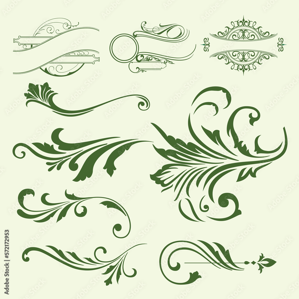 Fototapeta premium set of floral elements