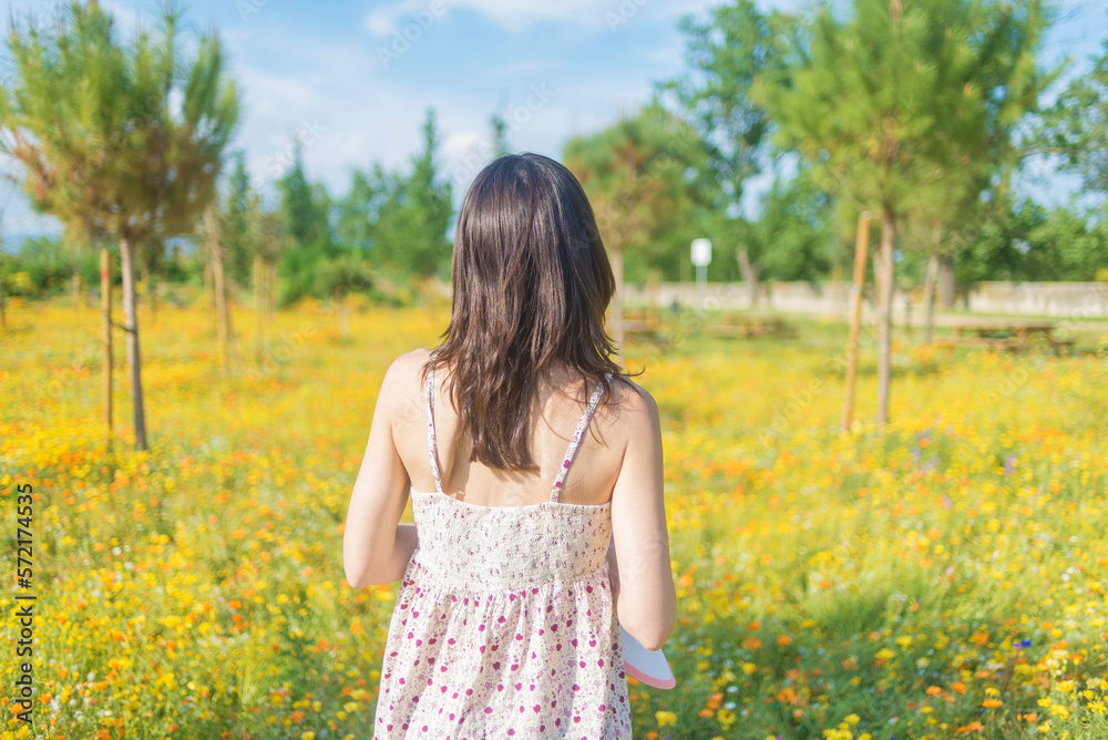 Rear view of a beautiful woman wearing a dress walking through a field