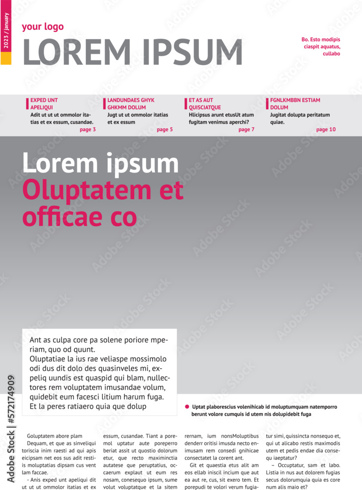 magazine, annual report mockup with pink headers, article magazine, annual report mockup with pink headers, article