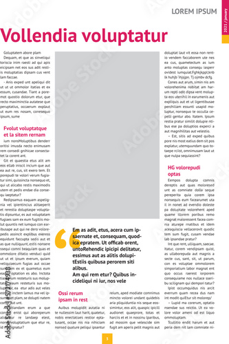 magazine, annual report mockup with pink headers, article