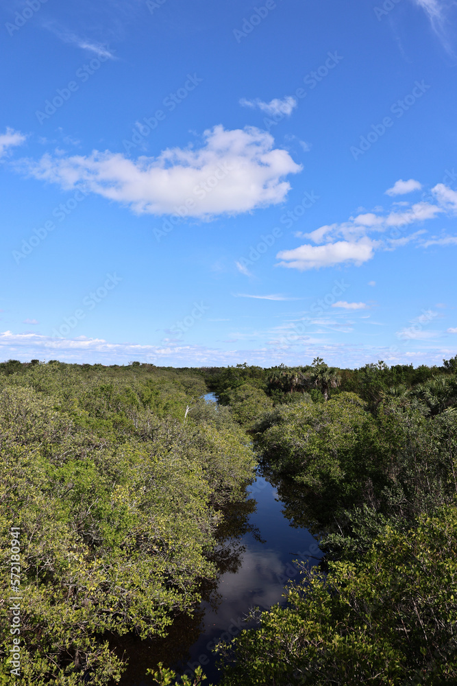 Exploring Pelican Point Nature Reserve in Florida