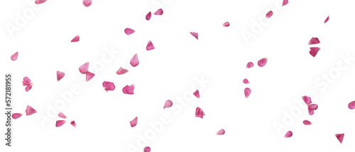 Floating pink petals on transparent background. Romantic concept design for weddings, love letters on valentines day or mother's day. PNG image.