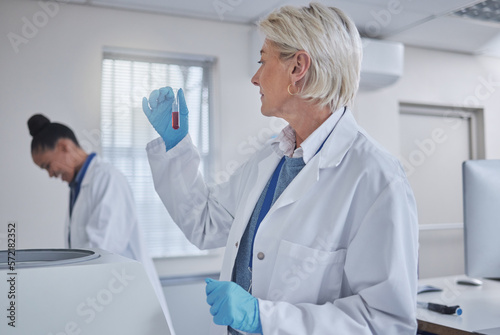 Thinking, laboratory or woman with blood in test tube for medical search, healthcare or dna research. Science, medicine lab or scientists doctor with fluid sample analysis, study or results examine