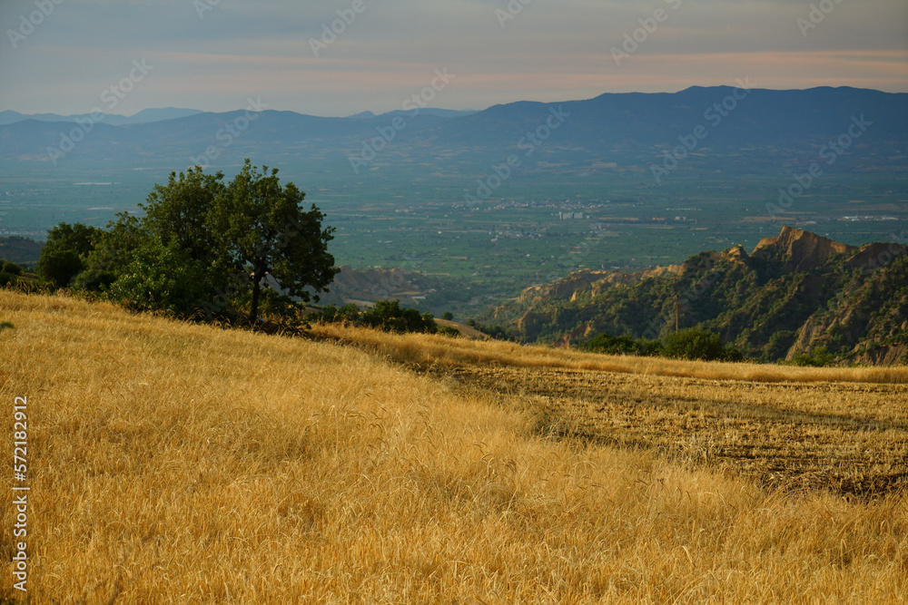 Fototapeta premium landscape in the mountains