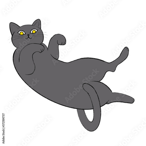 ヘソ天の猫、ロシアンブルーの仰向のイラスト、グレーの猫のイラスト、へそ天猫、ゴロゴロしている猫のイラスト、寝ている猫のイラスト
