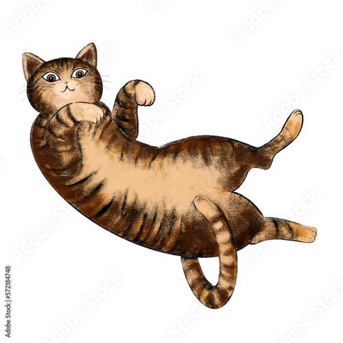 ヘソ天のトラ猫、トラネコの仰向のイラスト、虎猫のイラスト、へそ天猫、ゴロゴロしている猫のイラスト、寝ている猫のイラスト