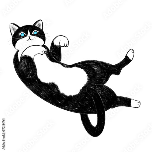 ヘソ天のハチワレ、ハチワレ猫の仰向のイラスト、ハチワレのイラスト、へそ天猫、ゴロゴロしている猫のイラスト、寝ている猫のイラスト