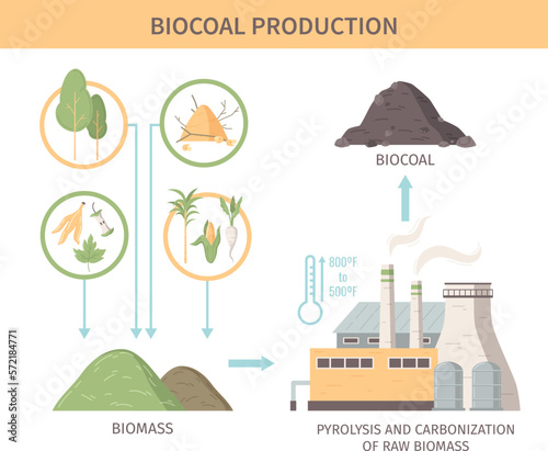 Biocoal Production Infographics Illustration