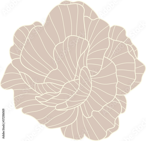 Brown flower line art
