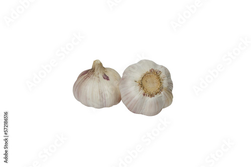 garlic 9, isolated on white background