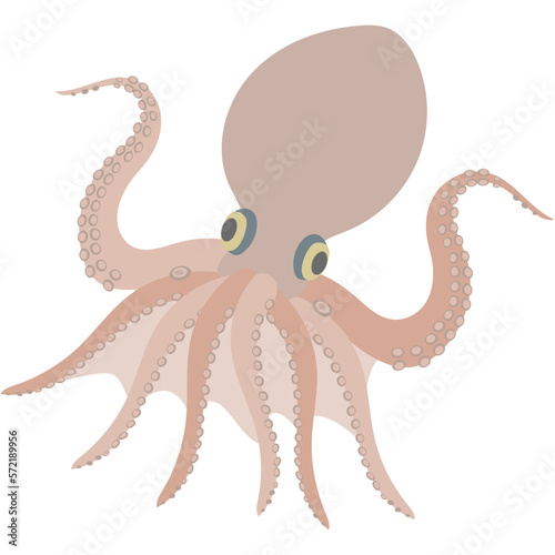 イイダコのフラットなベクターイラスト
Ocellated octopus. Flat designed vector illustration.