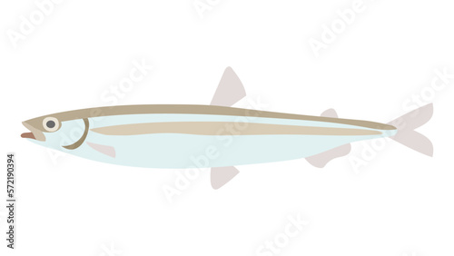 ワカサギのフラットなベクターイラスト
Japanese pond smelt. Flat designed vector illustration.