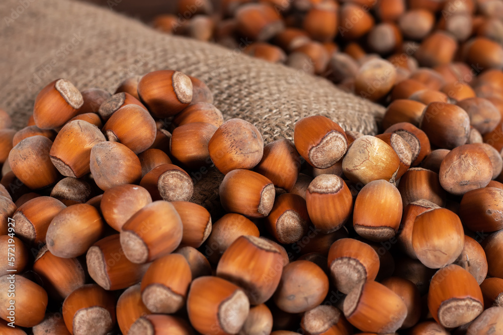Hazelnuts, filbert in burlap sack on wooden backdrop. heap or stack of hazelnuts. Hazelnut background, healty food Hazelnuts, filbert in burlap sack on wooden backdrop. heap or stack of hazelnuts. Hazelnut background, healty food