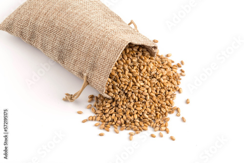 whole background of wheat grain