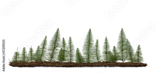 Row of green pine or christmas trees on wood. Decorated with little lights. Base from brown twines. isolated cutout on a transparent background.