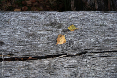 An element of an old wooden beam