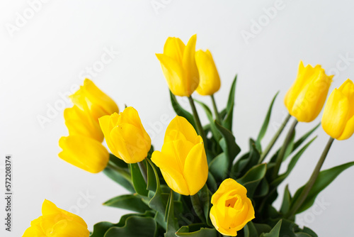 Beautiful spring bouquet of yellow tulips  festive bouquet for birthday or holiday