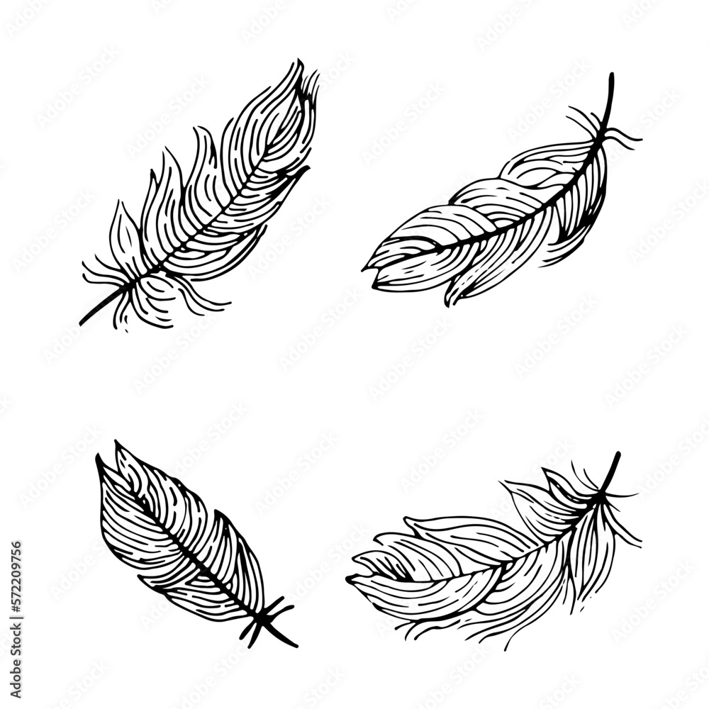 Hand drawn feathers. Vector doodle illustration. Isolated on white background Hand drawn feathers. Vector doodle illustration. Isolated on white background