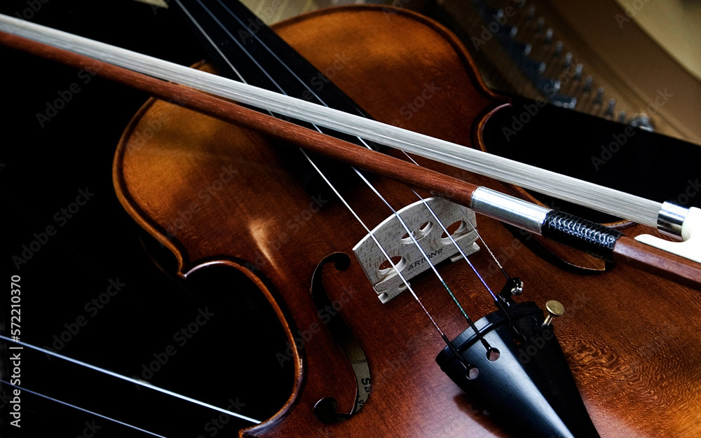 Fototapeta premium violin and bow