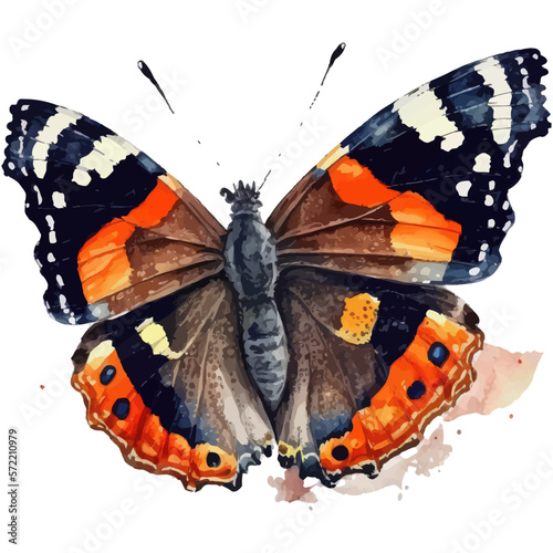 Watercolor illustration of Red Admiral Vanessa atalanta butterfly. Hand-drawn illustration isolated on white background in boho style.
