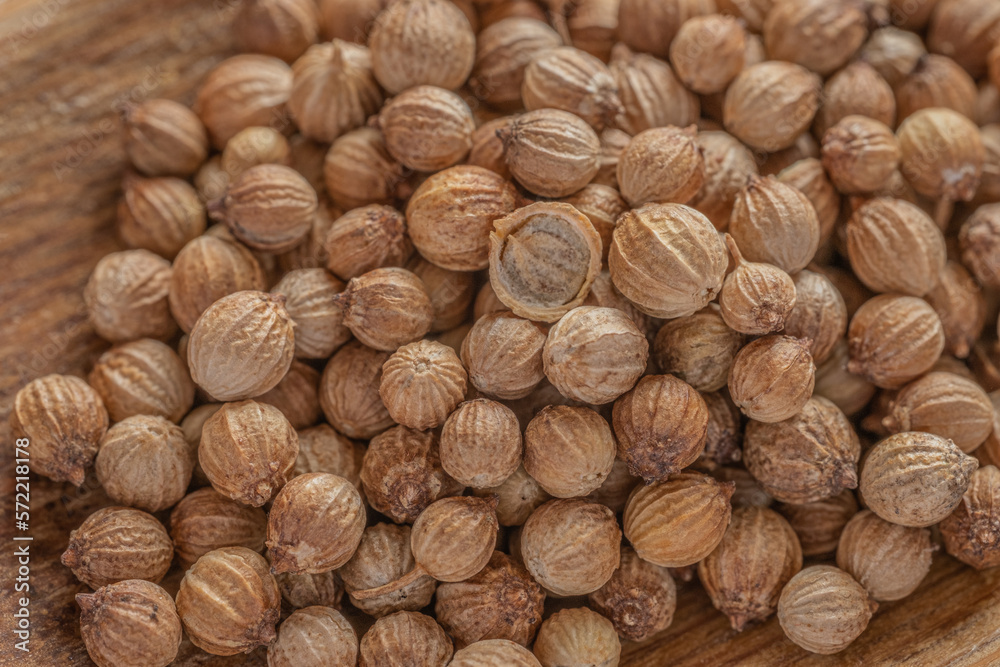 close up of seeds