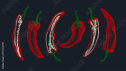 Chili pepper sketch vector set. Hot spicy, food