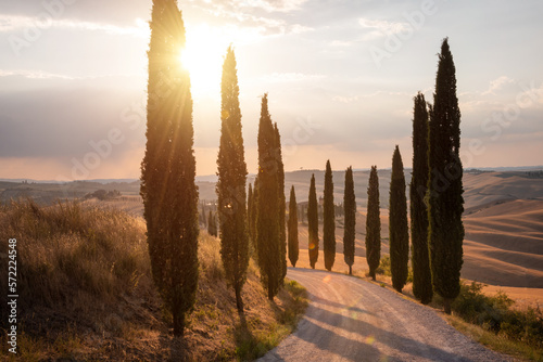 Road with cypresses on sunset in Tuscany, Italy