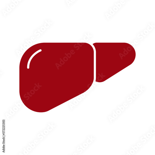 illustration of human liver organ