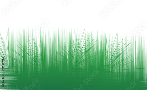 Green grass border on isolated white background Vector Illustration