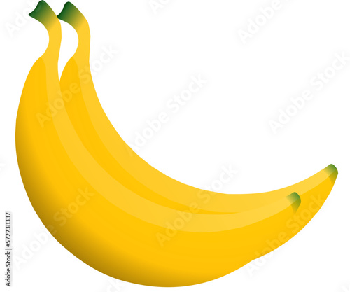 illustration of banana