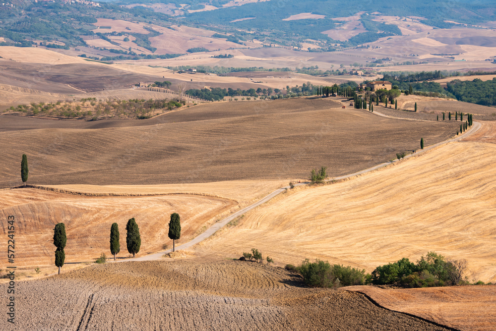 Obraz premium Picturesque countryside road with cypress among yellow summer fields in Tuscany, Italy